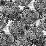 Vietnam-Army-Veteran-23-thumb.jpg