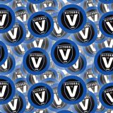 Viitorul-Constanta.jpg