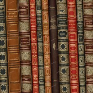 Vintage Book Spines 43