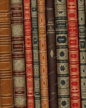 Vintage Book Spines 43