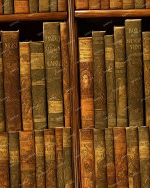 Vintage Bookshelf 43