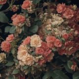 Vintage-Botanical-Illustration-46.jpg