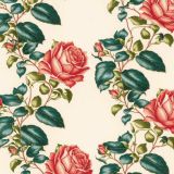 Vintage-Botanical-Illustration-50-1.jpg