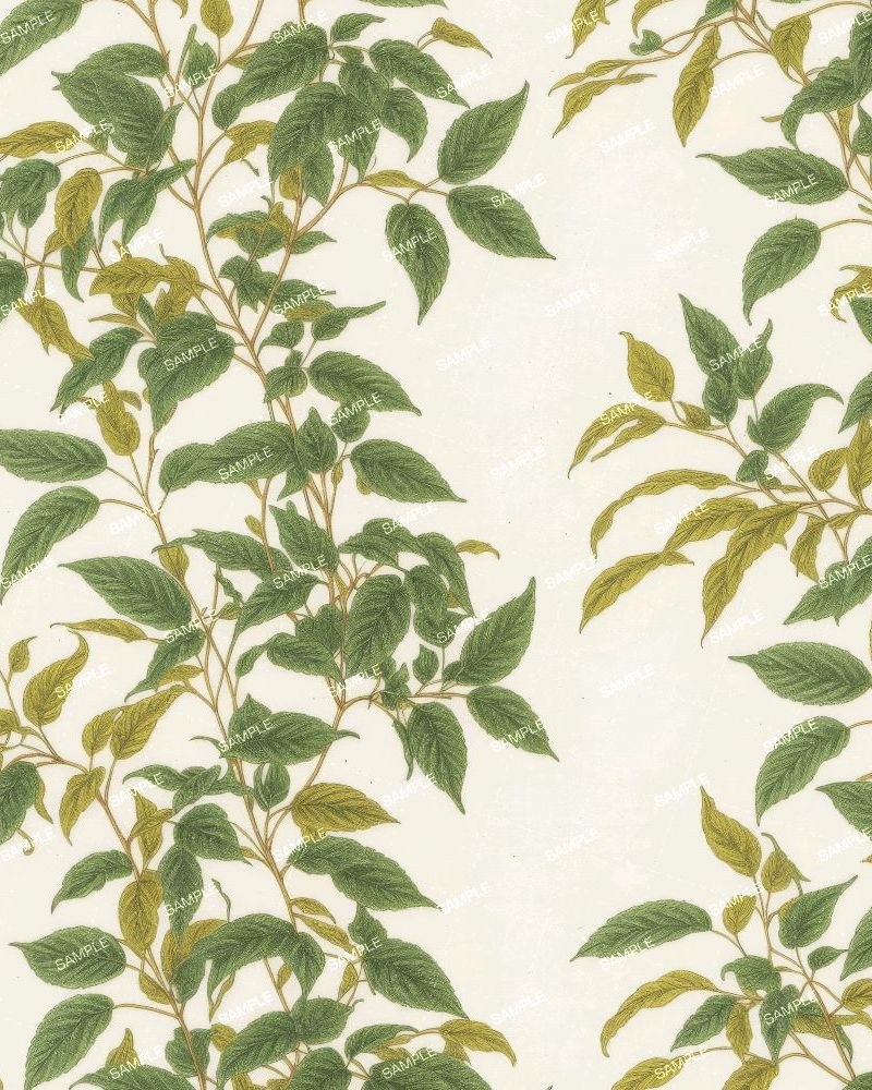 Vintage Botanical Illustration 51