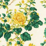 Vintage-Botanical-Illustration-53.jpg