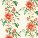 Vintage-Botanical-Illustration-55.jpg