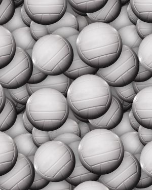 Volleyballs 22
