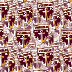 Voluntari