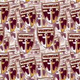 Voluntari.jpg
