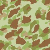 WWII-Frogskin-Camo-23-thumb.jpg
