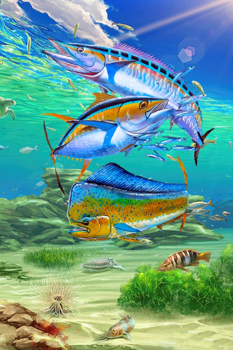 Wahoo Tuna Mahi 24 11×16