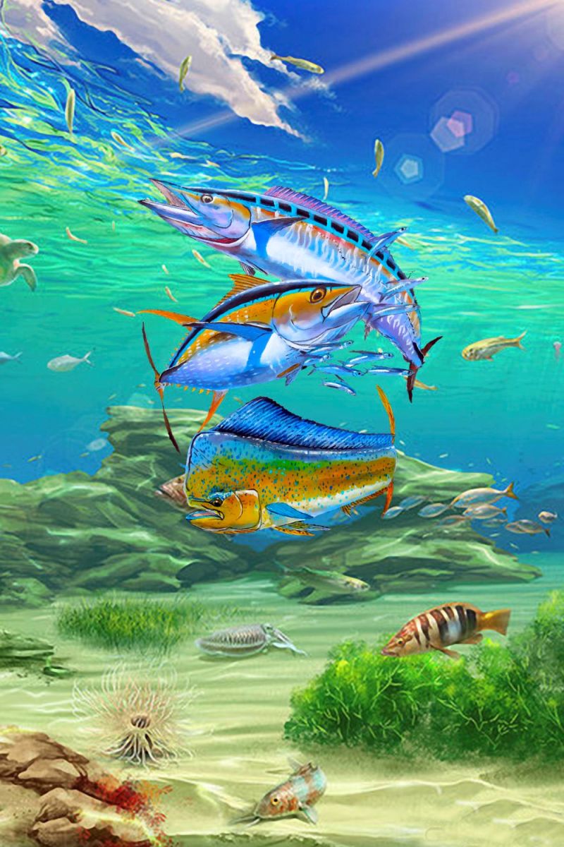 Wahoo Tuna Mahi 25 11×16