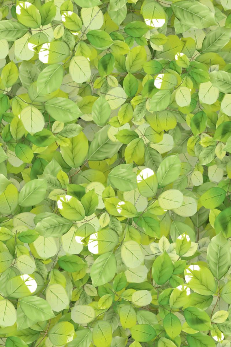 Wall of Leaves