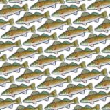 Walleye-22.jpg