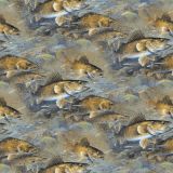 Walleye-Fish-42.jpg
