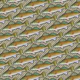 Walleye-Scales.jpg