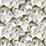 Walleye-School-22.jpg