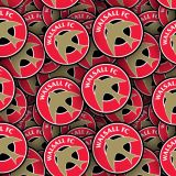 Walsall-FC.jpg