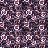Washington-Nationals-22.jpg