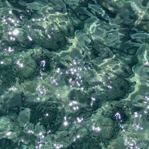 Water 25