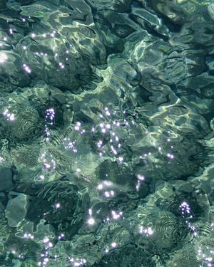 Water 25