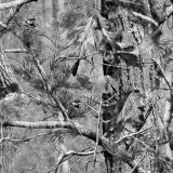 Water-Tree-Grayscale-Camo.jpg