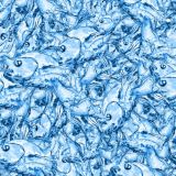 Water-out-of-Fish-23.jpg