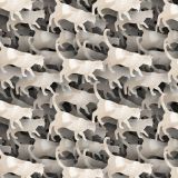 Watercolor-Cats-23.jpg