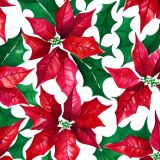 Watercolor-Christmas-Poinsettias.jpg