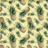 Watercolor-Pineapple-24.jpg