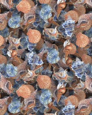 Watercolor Seashells 22