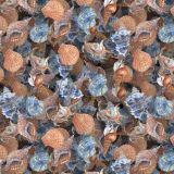 Watercolor-Seashells-22.jpg