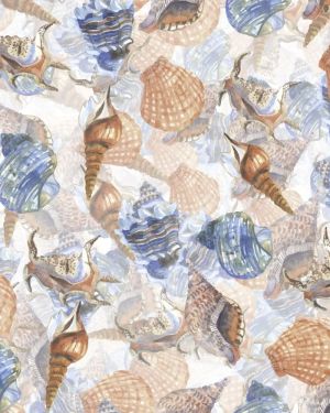Watercolor Seashells 23