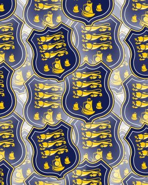 Waterford FC