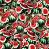Watermelon-Festival-22.jpg