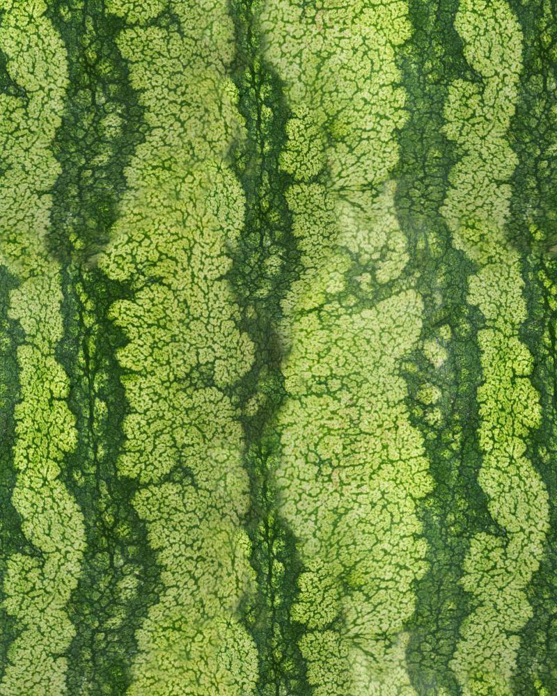 Watermelon Rind 22