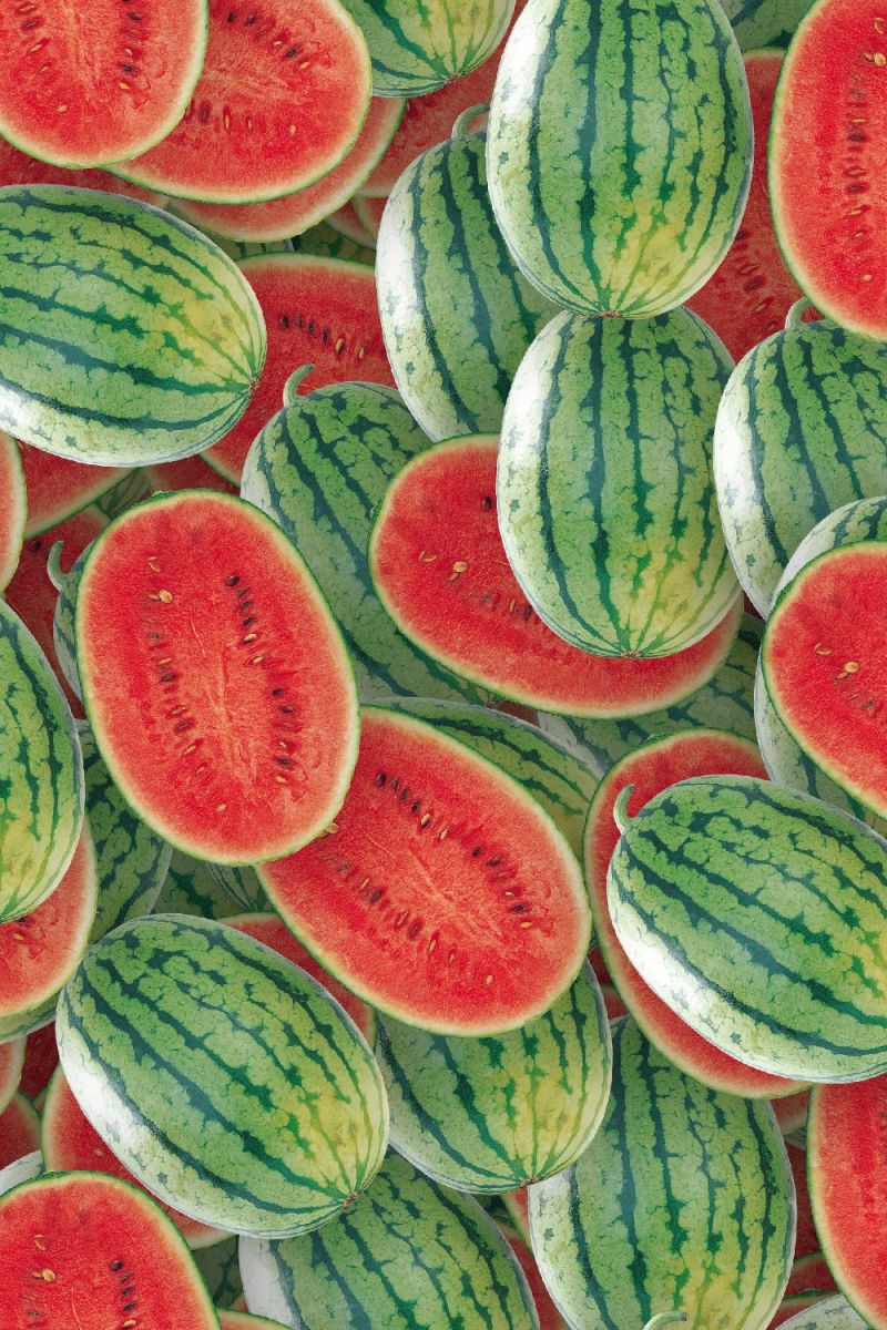 Watermelons 22
