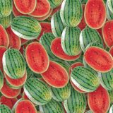 Watermelons-22.jpg