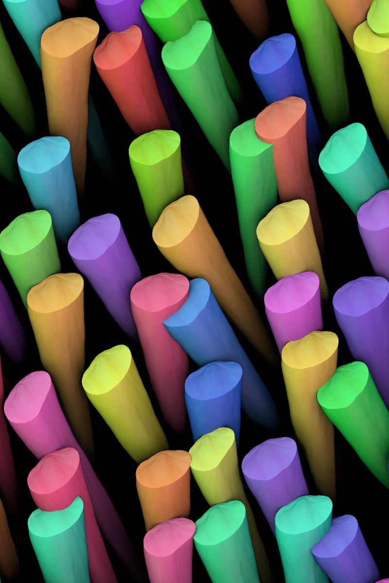 Wax Sticks
