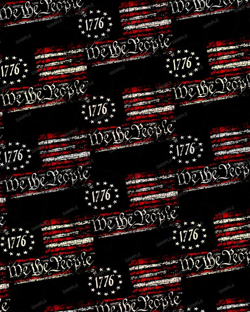 We The People 1776 22