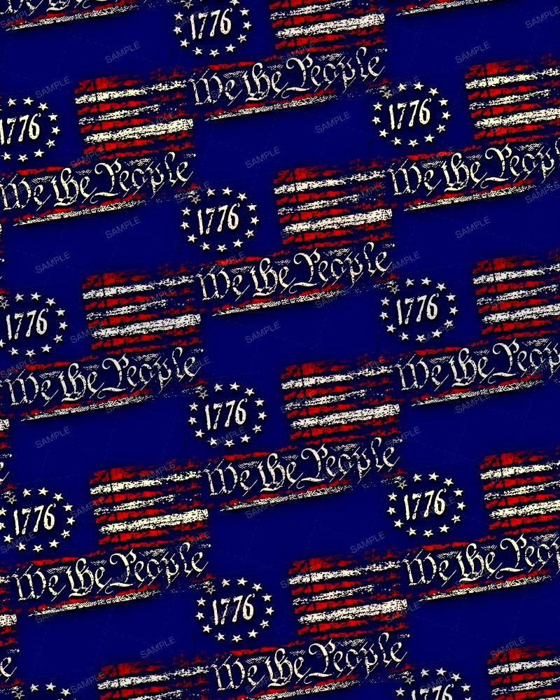 We The People 1776 23
