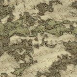 We-The-People-22-Camo.jpg