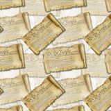 We-The-People-Constitution-Scroll-24.jpg