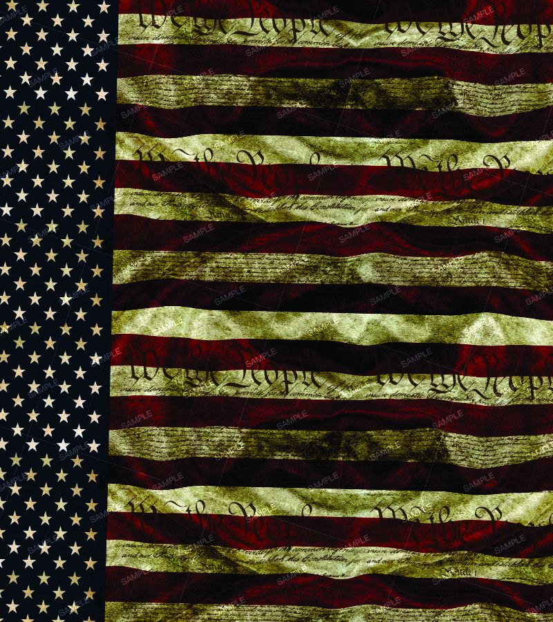 We the People Flag 21