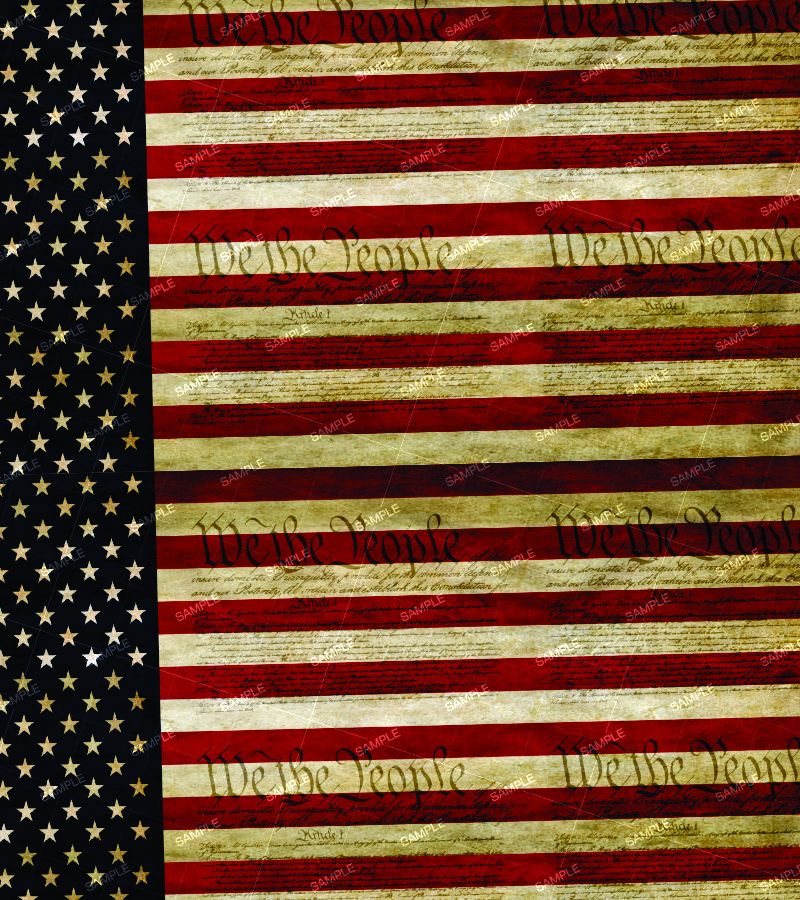 We the People Flag 22