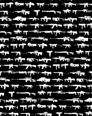 Weapon Status 24