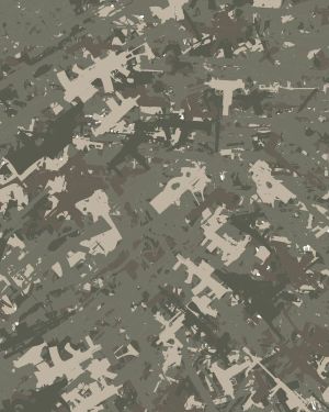 Weapons Camouflage 11