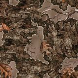 WeatherRidge-CT-Camo.jpg