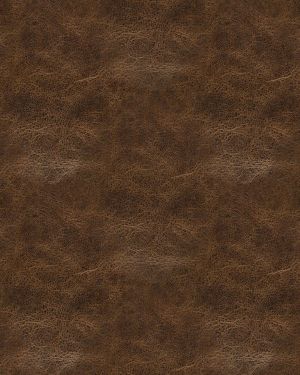 Weathered Brown Leather