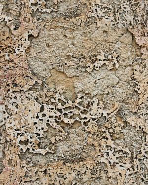 Weathered Stucco